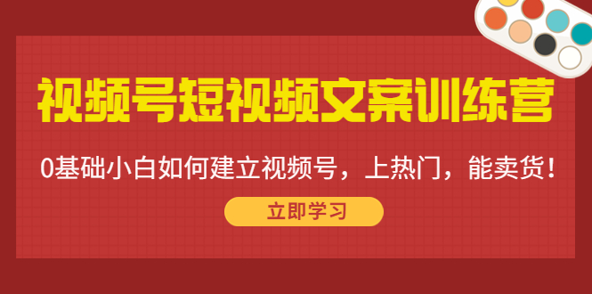 视频号短视频文案训练营：0基础小白如何建立视频号，上热门，能卖货！-八号资源库