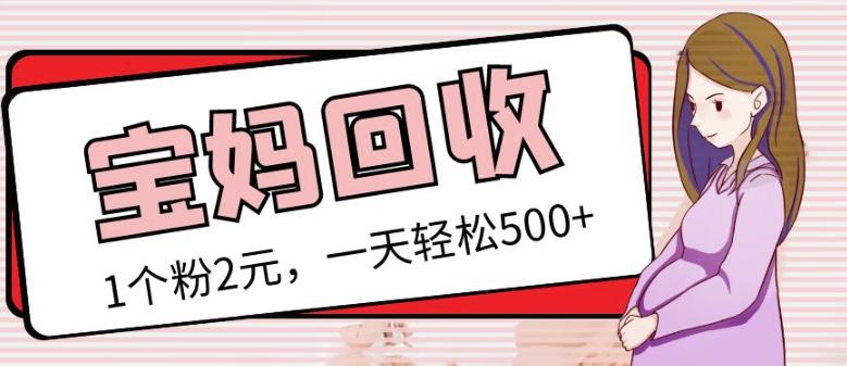 最新小红书母婴号宝妈粉回收项目，1个粉2元，一天轻松500+案例分享【粉丝包回收】-八号资源库