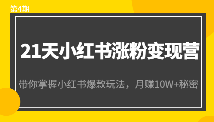 21天小红书涨粉变现营（第4期）：带你掌握小红书爆款玩法，月赚10W+秘密-八号资源库