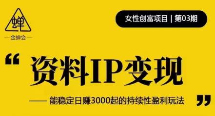 资料IP变现，能稳定日赚3000起的持续性盈利玩法-八号资源库