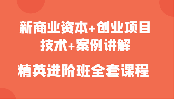 新商业资本+创业项目，技术+案例讲解，精英进阶班全套课程-八号资源库