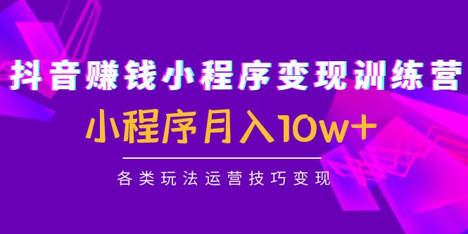 抖音赚钱小程序变现训练营：小程序月入10w+各类玩法运营技巧变现-八号资源库