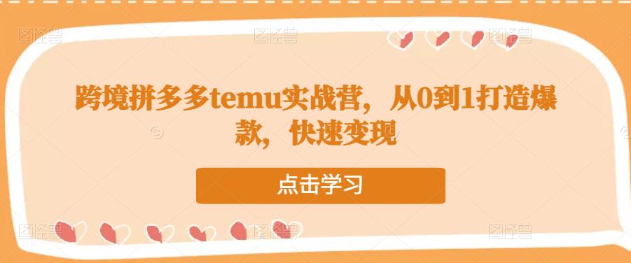 跨境拼多多temu实战营，从0到1打造爆款，快速变现-八号资源库