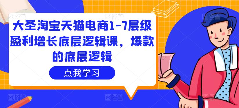 大圣淘宝天猫电商1-7层级盈利增长底层逻辑课，爆款的底层逻辑-八号资源库