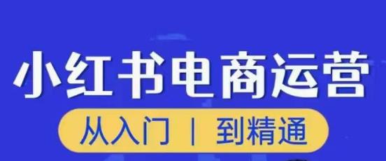 顽石小红书电商高阶运营课程，从入门到精通，玩法流程持续更新-八号资源库