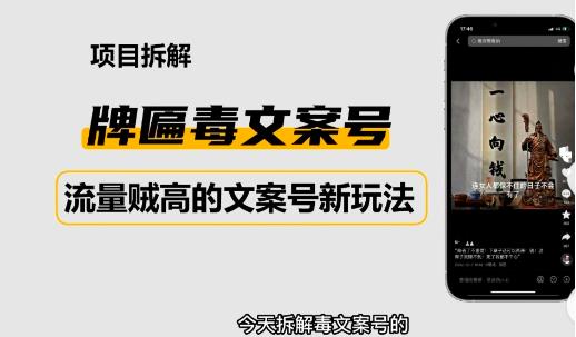 2023抖音快手毒文案新玩法，牌匾文案号，起号快易变现-八号资源库