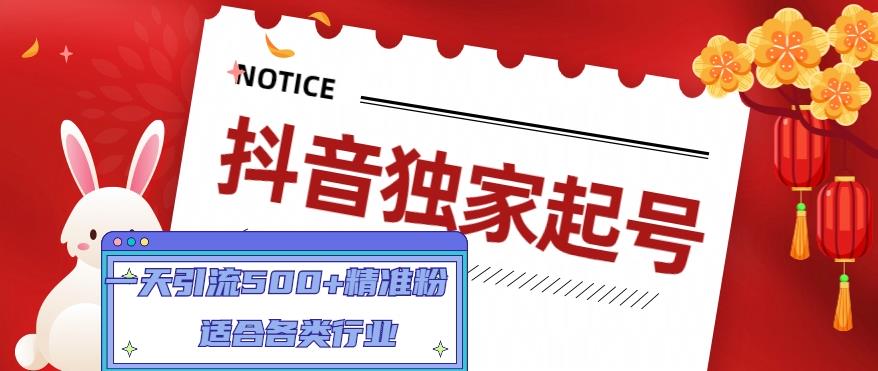 抖音独家起号，一天引流500+精准粉，适合各类行业（9节视频课）-八号资源库