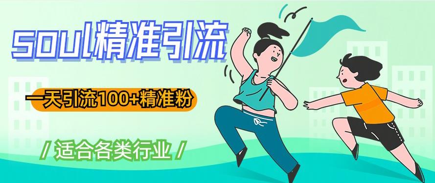 soul精准引流系列课程，一天引流100+精准粉，适合各类行业-八号资源库