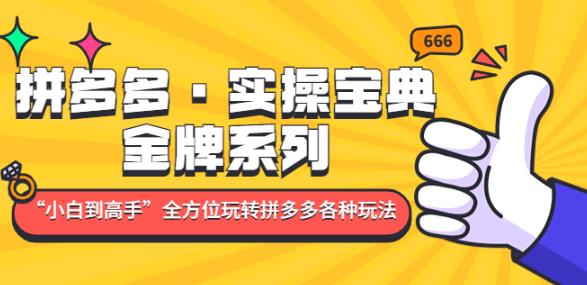 拼多多·实操宝典：金牌系列“小白到高手”带你全方位玩转拼多多各种玩法-八号资源库