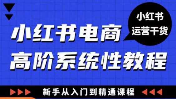 小红书电商高阶系统教程，新手从入门到精通系统课-八号资源库