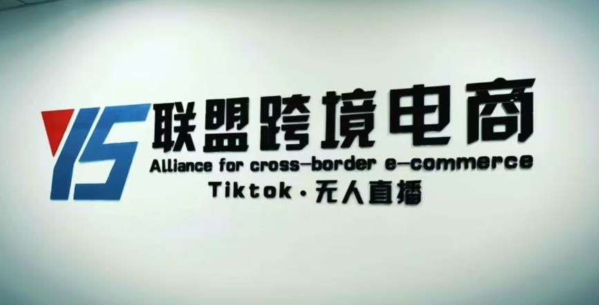YS联盟·Tiktok无人直播，不出镜不剪辑不拍摄不发货无售后的跨境短视频躺赚玩法-八号资源库