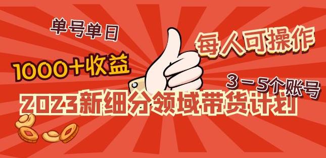 2023新细分领域带货计划：单号单日1000+收益不难，每人可操作3-5个账号-八号资源库