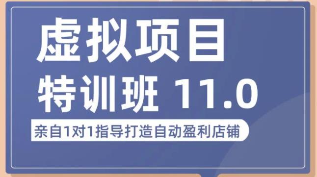 陆明明·虚拟项目特训班（10.0+11.0），0成本获取虚拟素材，0基础打造自动盈利店铺-八号资源库