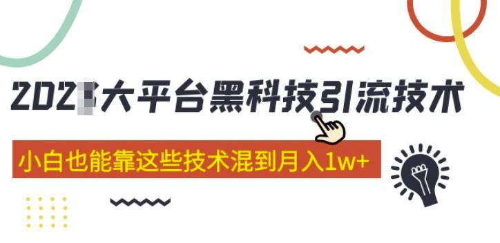 大平台黑科技引流技术，小白也能靠这些技术混到月入1w+(2022年的课程）-八号资源库