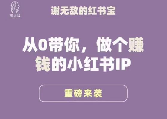 谢无敌·小红书运营大宝典，从0带你做个赚钱的小红书IP-八号资源库