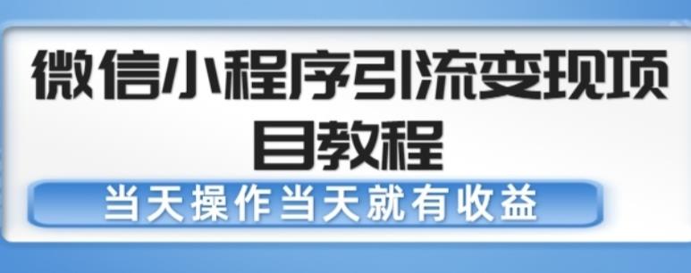 微信小程序引流变现项目教程，当天操作当天就有收益，变现不再是难事-八号资源库