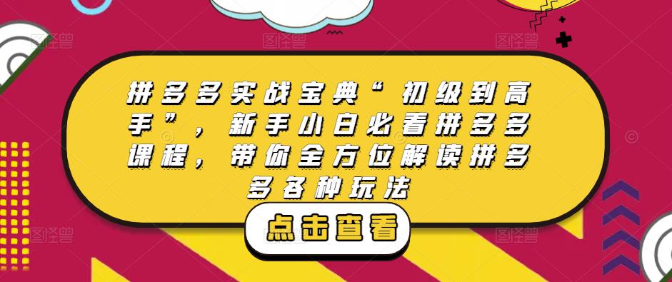 拼多多实战宝典“初级到高手”，新手小白必看拼多多课程，带你全方位解读拼多多各种玩法-八号资源库