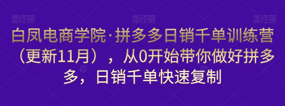 白凤电商学院·拼多多日销千单训练营，从0开始带你做好拼多多，日销千单快速复制（更新知2023年3月）-八号资源库