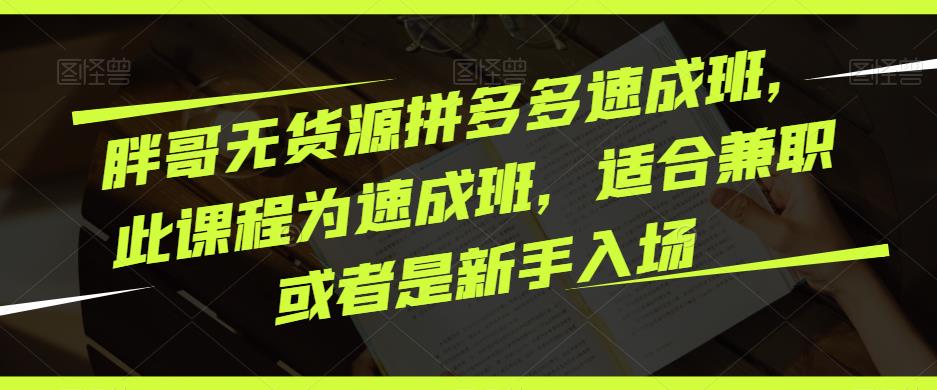 胖哥无货源拼多多速成班，此课程为速成班，适合兼职或者是新手入场-八号资源库