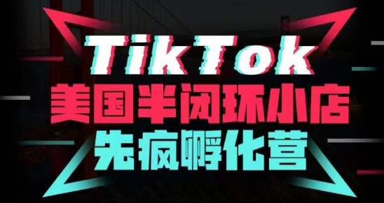 疯人院·TikTok美国半闭环小店孵化营，抢占TikTok美国蓝海市场，开店、运营、带货、投流全实操-八号资源库