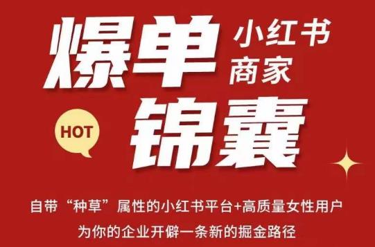 无畏·小红书商家爆单锦囊，掌握小红书各大规则，快速精准抢占行业和市场-八号资源库