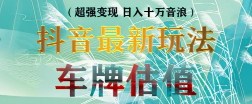 抖音最新无人直播变现直播车牌估值玩法项目，轻松日赚几百+【详细玩法教程】-八号资源库