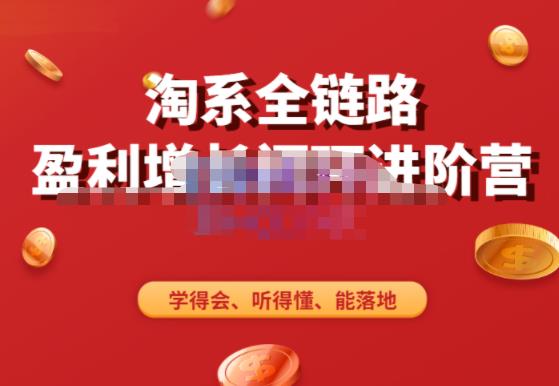 淘系全链路盈利增长闭环进阶营，融合全店动销，学得会、听得懂、能落地！-八号资源库
