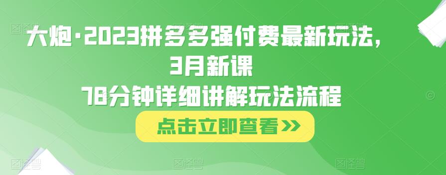 大炮·2023拼多多强付费最新玩法，3月新课​78分钟详细讲解玩法流程-八号资源库