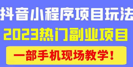抖音小程序9.0新技巧，2023热门副业项目，动动手指轻松变现-八号资源库