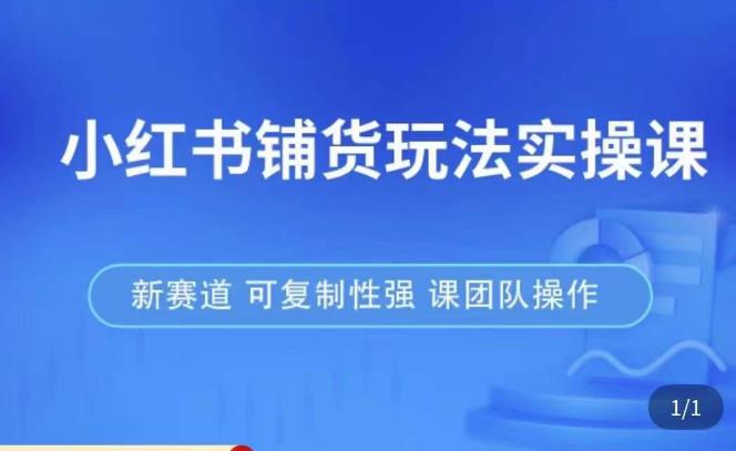 小红书铺货玩法实操课，流量大，竞争小，非常好做，新赛道，可复制性强，可团队操作-八号资源库
