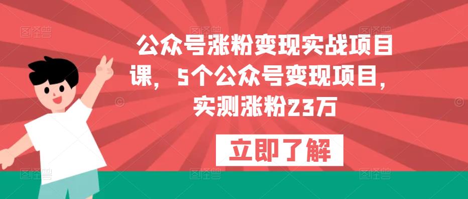 公众号涨粉变现实战项目课，5个公众号变现项目，实测涨粉23万-八号资源库