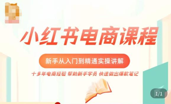 小红书电商新手入门到精通实操课，从入门到精通做爆款笔记，开店运营-八号资源库