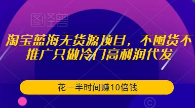 淘宝蓝海无货源项目，不囤货不推广只做冷门高利润代发，花一半时间赚10倍钱-八号资源库