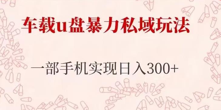车载u盘暴力私域玩法，长期项目，仅需一部手机实现日入300+-八号资源库