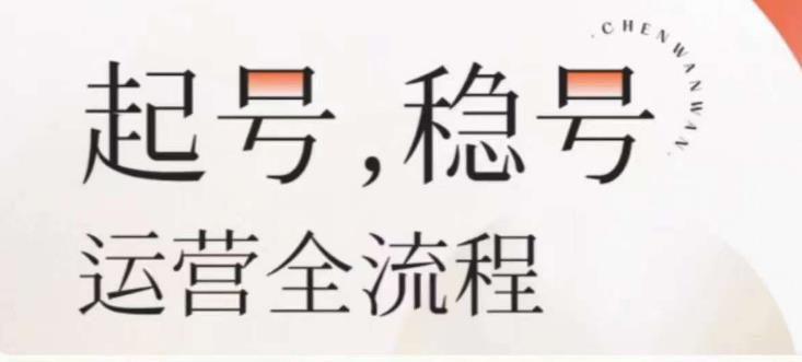 婉婉-起号稳号运营全流程，解决从小白到进阶所有运营知识，帮助解决账号所有运营难题-八号资源库