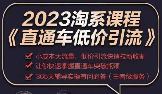 2023直通车低价引流玩法课程，小成本大流量，低价引流快速拉新收割，让你快速掌握直通车突破瓶颈-八号资源库