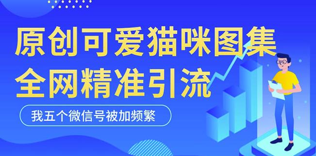 黑科技纯原创可爱猫咪图片，全网精准引流，实操5个VX号被加频繁-八号资源库