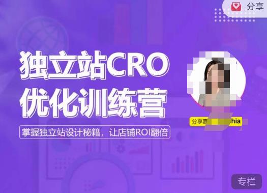 独立站CRO优化训练营，掌握独立站设计秘籍，打造高转化的独立站，让店铺ROI翻倍-八号资源库