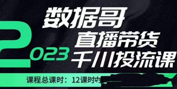 数据哥2023直播电商巨量千川付费投流实操课，快速掌握直播带货运营投放策略-八号资源库