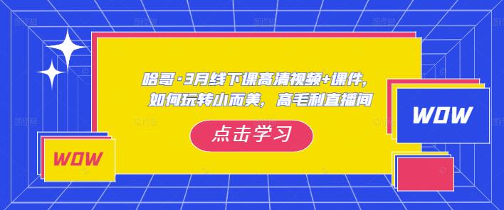哈哥·3月线下实操课高清视频+课件，如何玩转小而美，高毛利直播间-八号资源库