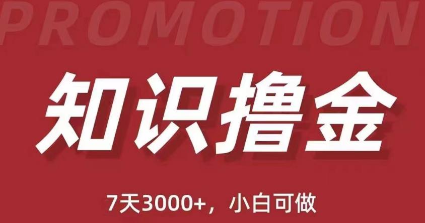 抖音知识撸金项目：简单粗暴日入1000+执行力强当天见收益(教程+资料)-八号资源库