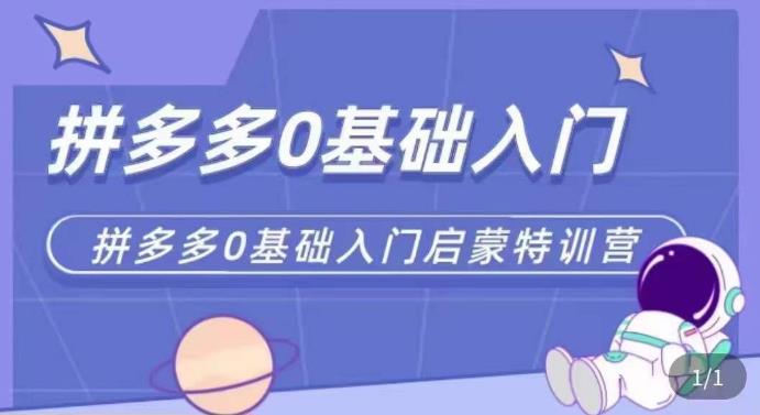拼多多运营0-1实操特训营，拼多多0基础入门，从基础到进阶的可实操玩法-八号资源库