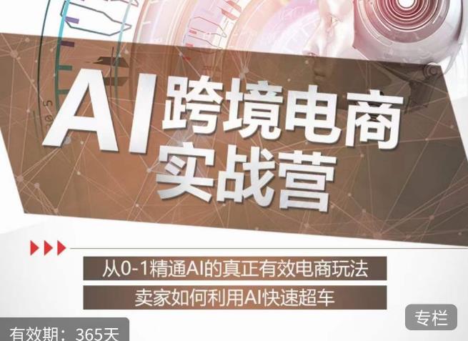 白龙老师·AI跨境电商实战营：从0-1精通Al的真正有效电商玩法，卖家如何利用Al快速超车-八号资源库