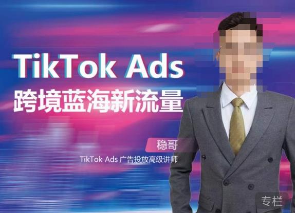 稳哥·如何投出高ROI的TikTok广告，开拓独立站卖家流量新蓝海-八号资源库