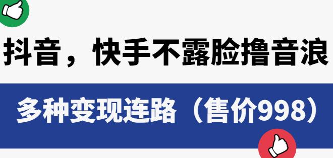 抖音快手不露脸撸音浪项目，多种变现连路（售价998）-八号资源库