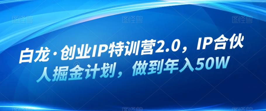 白龙·创业IP特训营2.0，IP合伙人掘金计划，做到年入50W-八号资源库