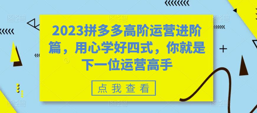 2023拼多多高阶运营进阶篇，用心学好四式，你就是下一位运营高手-八号资源库