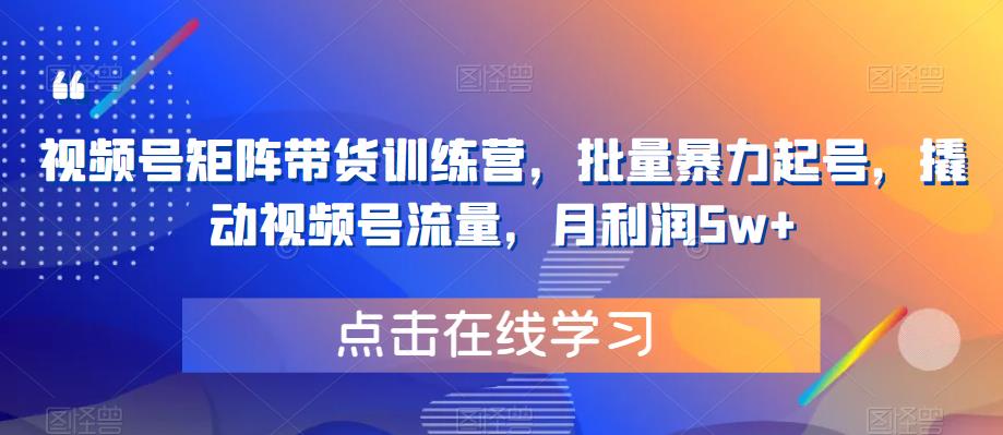 视频号矩阵带货训练营，批量暴力起号，撬动视频号流量，月利润5w+-八号资源库