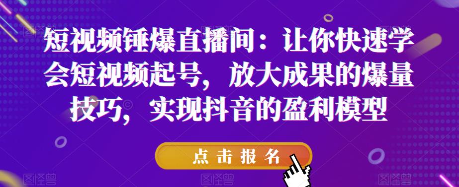 短视频锤爆直播间：让你快速学会短视频起号，放大成果的爆量技巧，实现抖音的盈利模型-八号资源库