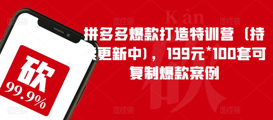 拼多多爆款打造特训营（持续更新中)，199元*100套可复制爆款案例-八号资源库